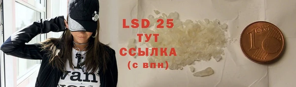 прущие грибы Болотное