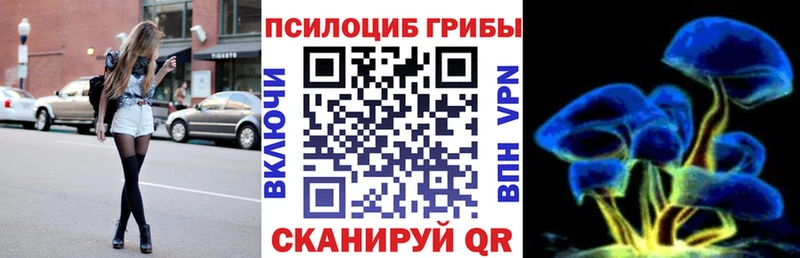 что такое   Дальнегорск  Псилоцибиновые грибы Cubensis 