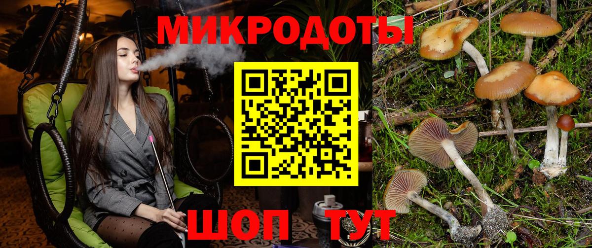 Псилоцибиновые грибы прущие грибы Дальнегорск