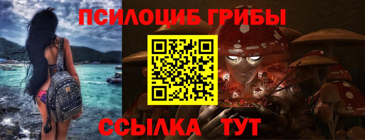 Галлюциногенные грибы мухоморы  где можно купить   Дальнегорск  Вход с VPN  Псилоцибиновые грибы Psilocybine cubensis 